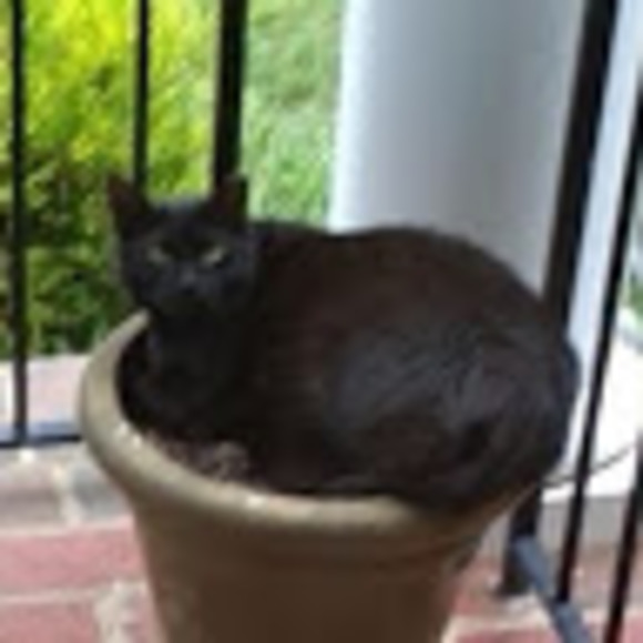 Meet your Posher, Reid - Picture 1 of 1